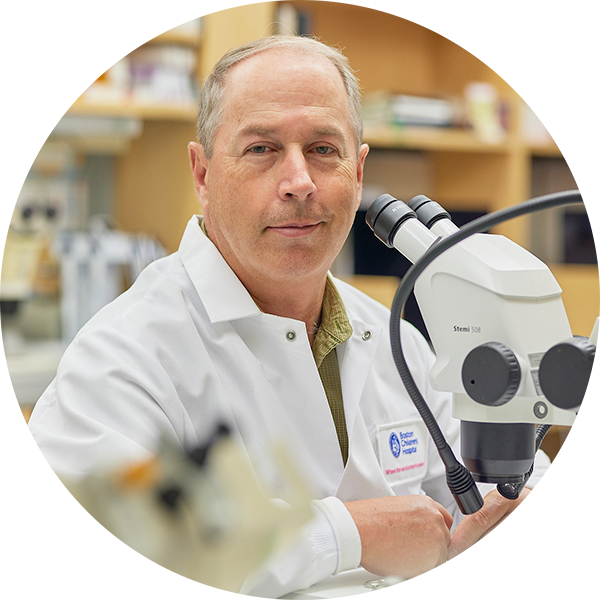 Jeffrey Holt, PhD