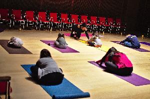 Marlene, leading Family Yoga at the Gardner Museum