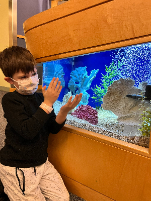 Max's Nephrology Journey